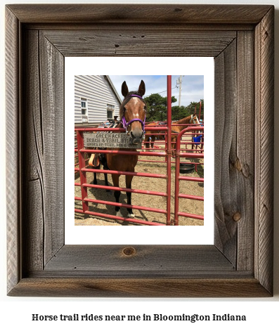 horse trail rides near me in Bloomington, Indiana